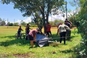 Rescataron a un caballo que se desplomó en la plaza de Santa Rosa imagen-1