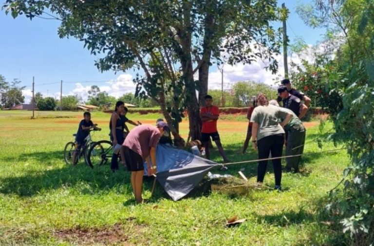 Rescataron a un caballo que se desplomó en la plaza de Santa Rosa imagen-5