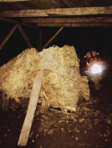 San Pedro: recuperan más de 300 kilos de hojas de tabaco robadas a un colono imagen-4