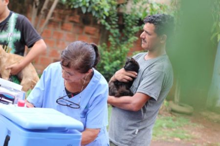 El Imusa continúa recorriendo los barrios posadeños con atención veterinaria esencial imagen-12