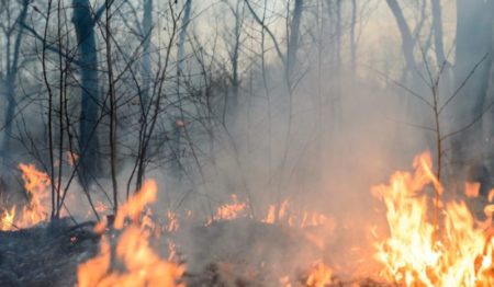 Incendios: instan a extremar las medidas de precaución imagen-13