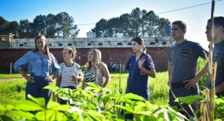 Posadas promueve la alimentación saludable en la Unidad Penal IV imagen-11