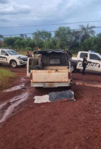 Cayó un poste de energía sobre una camioneta y falleció un hombre electrificado imagen-1