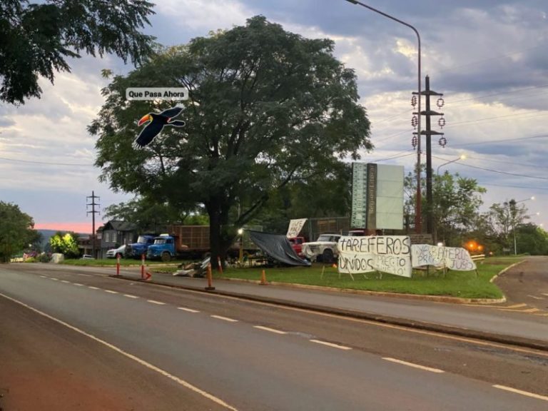 «Precio digno»: productores yerbateros siguen a la vera de la ruta en Jardín América imagen-5