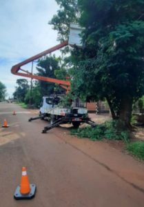 Despeje y mantenimiento de líneas eléctricas en barrios de Puerto Iguazú imagen-1