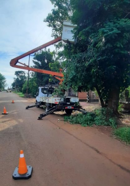 Despeje y mantenimiento de líneas eléctricas en barrios de Puerto Iguazú imagen-5