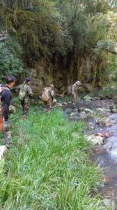 Patrullan los parques Esmeralda, Piñalito y Caá Yarí para desalentar la presencia de cazadores imagen-1