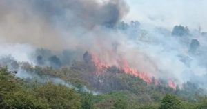 Ahora recrudecen los incendios en Neuquén: ya son más de 15 mil hectáreas afectadas en el Parque Nacional Lanín imagen-3