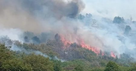 Ahora recrudecen los incendios en Neuquén: ya son más de 15 mil hectáreas afectadas en el Parque Nacional Lanín imagen-20