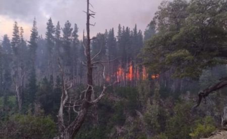 Chubut denunció que hay ocho nuevos focos de incendio imagen-9