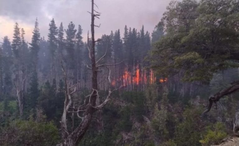 Chubut denunció que hay ocho nuevos focos de incendio imagen-5