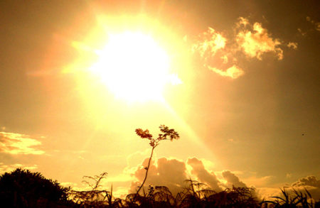 Se acerca el fin de la ola de calor en Misiones: este jueves llegarían las lluvias imagen-15