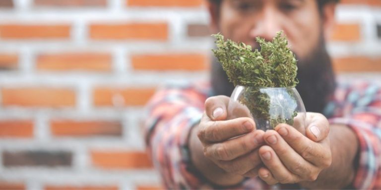 Inscripciones abiertas para diplomatura en cannabis imagen-5