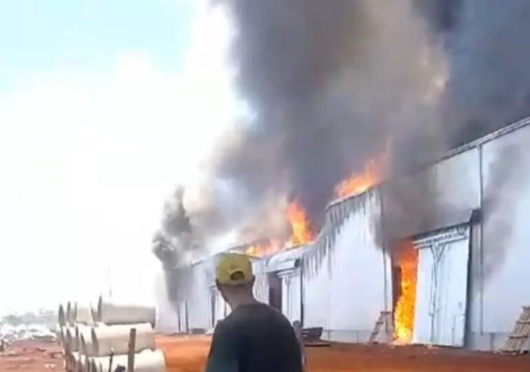 Corrientes: el incendio del depósito de Playadito consumió tres millones de kilos de yerba mate imagen-4