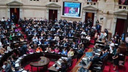 Diputados sesionará el miércoles próximo para aprobar la ley de Ficha Limpia imagen-18