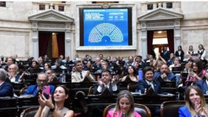 Diputados: el oficialismo logró darle media sanción a la suspensión de las PASO imagen-1