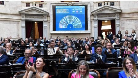 Diputados: el oficialismo logró darle media sanción a la suspensión de las PASO imagen-20