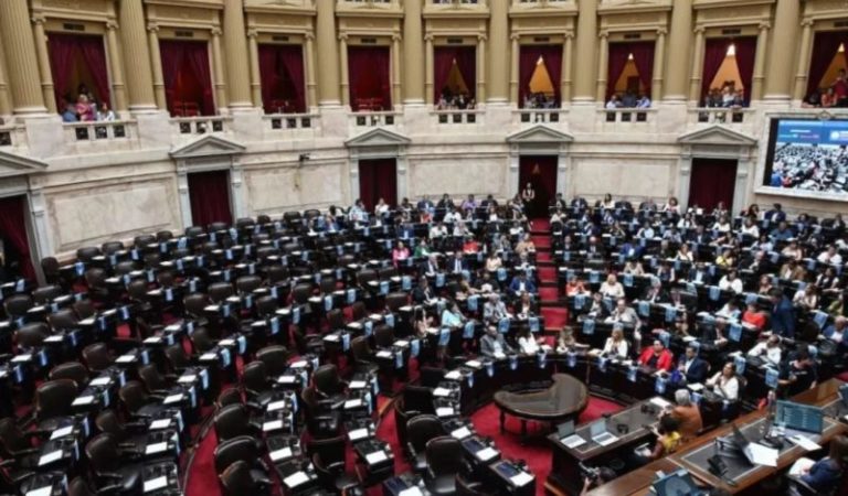 Congreso: diputados tratará hoy la decisión de Nación de impedir tratamiento de hormonización a menores de edad imagen-5