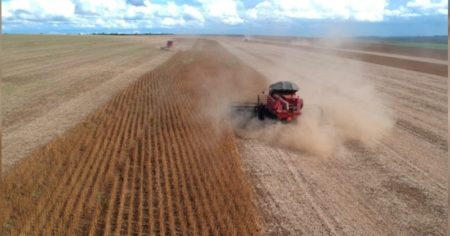 La región que más rápido se ha desarrollado en los últimos años ya es el principal socio comercial del agro argentino imagen-6