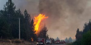 Incendios en El Bolsón: detuvieron a un hombre que prendió una fogata imagen-4