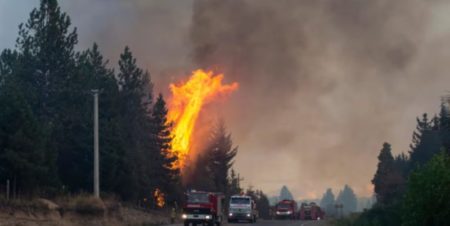 Incendios en El Bolsón: detuvieron a un hombre que prendió una fogata imagen-8