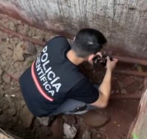 Vandalismo, riesgo y pérdidas: tras 14 horas de trabajo se normalizó la línea que afectó a 25 mil vecinos de Puerto Iguazú imagen-1