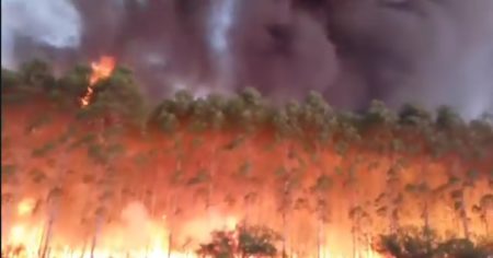 Incendios en Corrientes: 94.000 hectáreas fueron alcanzadas por el fuego en lo que va del 2025 imagen-20