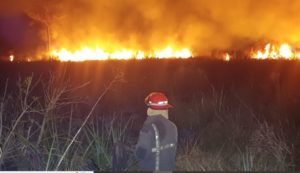 Heroísmo al extremo: Bombero quiso salvar a compañera cuando combatían incendio y perdió la vida imagen-3