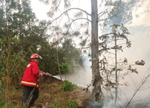 Alerta por incendios: cinco municipios de Misiones en riesgo extremo imagen-1