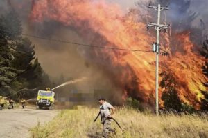 Incluirán en Extraordinarias un proyecto para agravar la pena a quienes provoquen incendios imagen-3