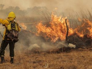 Máxima alerta en Misiones: el riesgo de incendios es extremo en el sur imagen-2