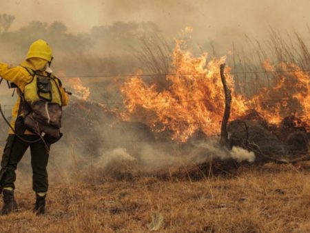 Máxima alerta en Misiones: el riesgo de incendios es extremo en el sur imagen-12