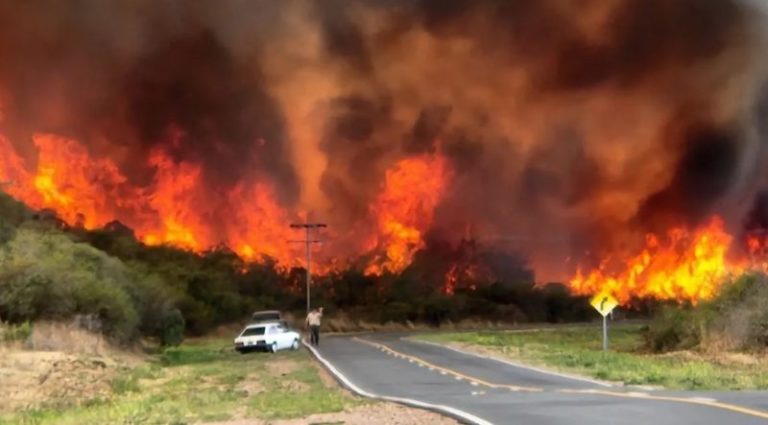 Ingresó al Congreso el proyecto que agrava penas para quienes causen incendios y otros delitos relacionados imagen-5