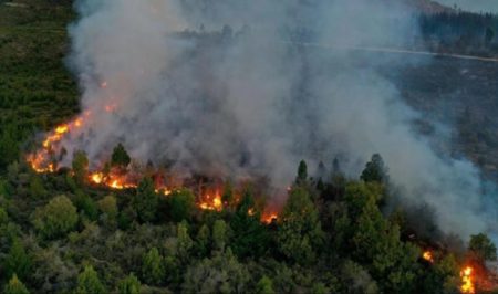 Durante la madrugada se iniciaron nuevos incendios en el sur del país imagen-11