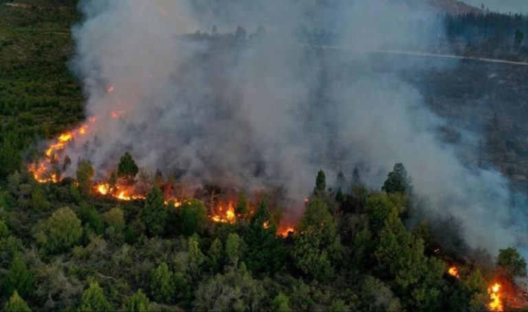 Durante la madrugada se iniciaron nuevos incendios en el sur del país imagen-5