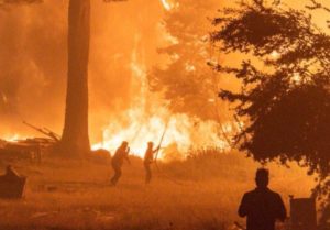 El Gobierno atribuye los incendios en la Patagonia a “terroristas disfrazados de mapuches” imagen-1