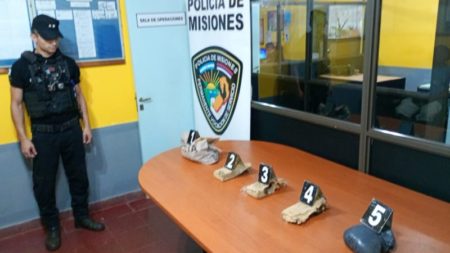 Secuestraron más de dos millones de pesos en marihuana oculta en una zona rural de Garuhapé imagen-9