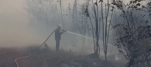 Misiones en alerta por riesgo de incendios y refuerzan operativos en zonas rurales imagen-3