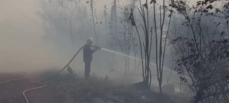 Misiones en alerta por riesgo de incendios y refuerzan operativos en zonas rurales imagen-4