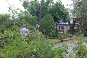 Temporal sorpresa causó destrozos en barrios de Posadas imagen-2