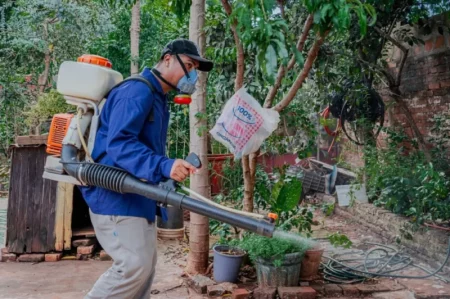 Sigue la campaña para prevenir el dengue en Posadas imagen-25