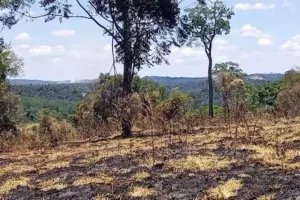 La Niña genera una sequía irregular en Misiones imagen-1