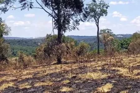 La Niña genera una sequía irregular en Misiones imagen-12