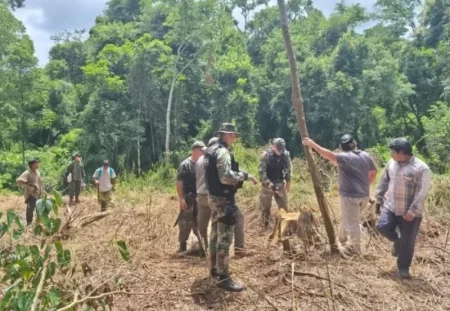 Detectan y frenan desmonte ilegal en territorio Mbyá en Pozo Azul imagen-14