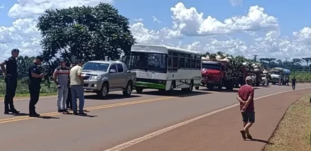 Yerbateros frenan la entrega de hoja verde a secaderos en reclamo de precios justos imagen-10