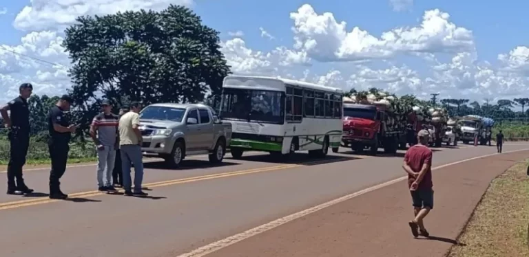 Yerbateros frenan la entrega de hoja verde a secaderos en reclamo de precios justos imagen-5