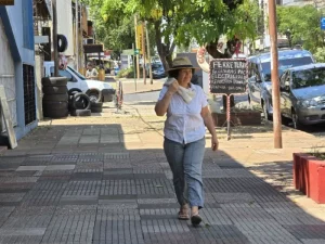 Segunda ola de calor: temperaturas extremas superarán los 40°C en Misiones imagen-1