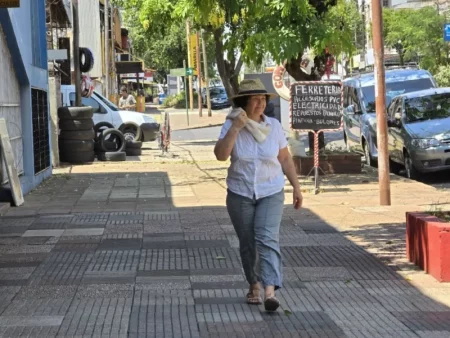 Segunda ola de calor: temperaturas extremas superarán los 40°C en Misiones imagen-17