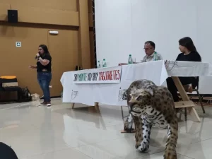 Buscan generar educación ambiental para evitar el atropellamiento de animales imagen-4