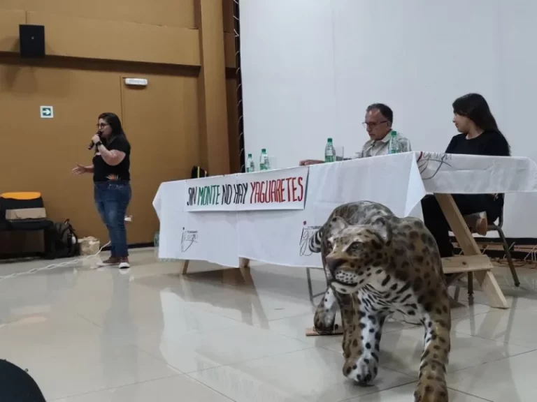 Buscan generar educación ambiental para evitar el atropellamiento de animales imagen-5